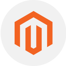 Custom Magento Themes for Unique Branding